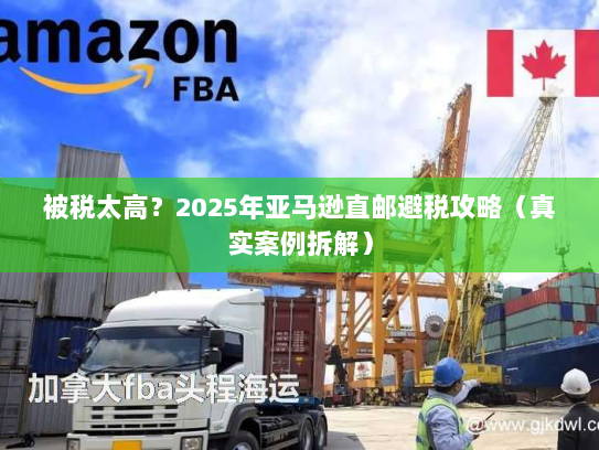 被税太高？2025年亚马逊直邮避税攻略（真实案例拆解）