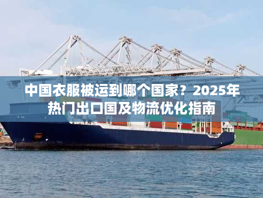 中国衣服被运到哪个国家？2025年热门出口国及物流优化指南