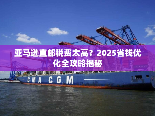 亚马逊直邮税费太高？2025省钱优化全攻略揭秘
