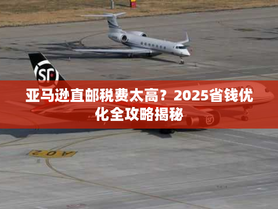 亚马逊直邮税费太高？2025省钱优化全攻略揭秘
