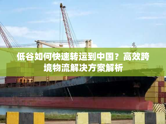 低谷如何快速转运到中国？高效跨境物流解决方案解析