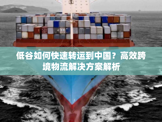 低谷如何快速转运到中国？高效跨境物流解决方案解析