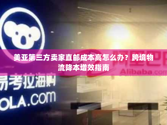 美亚第三方卖家直邮成本高怎么办？跨境物流降本增效指南