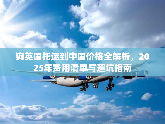 狗英国托运到中国价格全解析，2025年费用清单与避坑指南