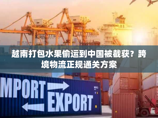 越南打包水果偷运到中国被截获？跨境物流正规通关方案