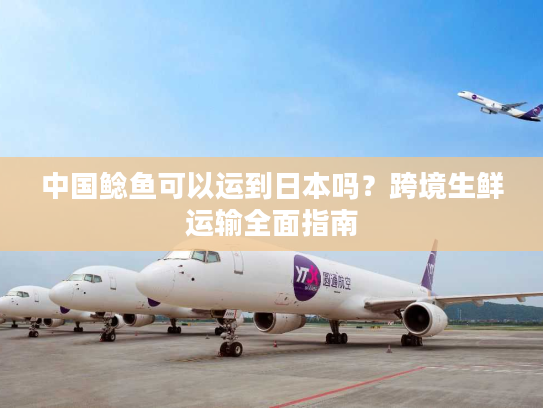 中国鲶鱼可以运到日本吗？跨境生鲜运输全面指南