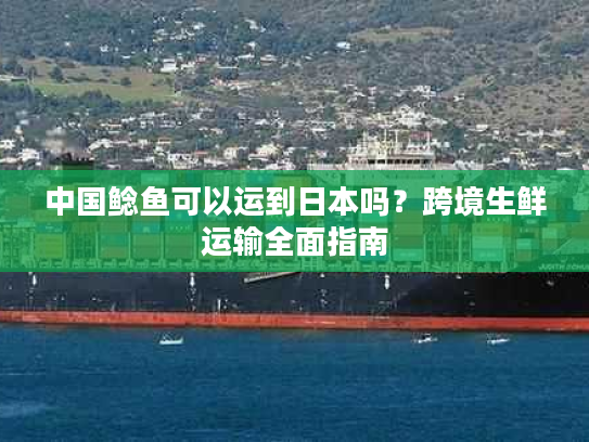 中国鲶鱼可以运到日本吗？跨境生鲜运输全面指南