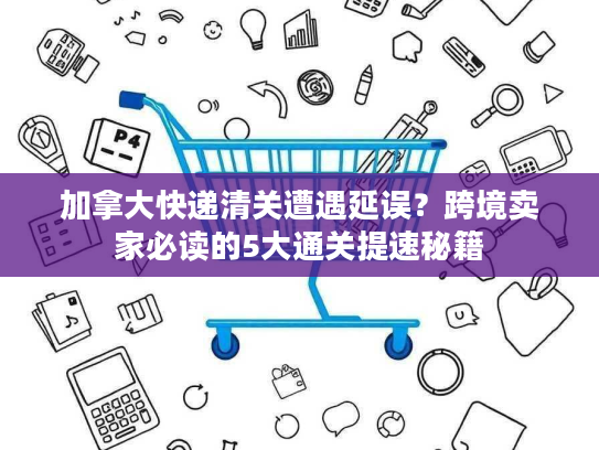加拿大快递清关遭遇延误？跨境卖家必读的5大通关提速秘籍