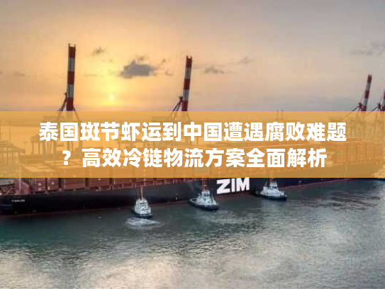 泰国斑节虾运到中国遭遇腐败难题？高效冷链物流方案全面解析