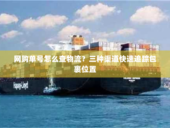 网购单号怎么查物流？三种渠道快速追踪包裹位置