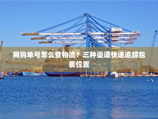 网购单号怎么查物流？三种渠道快速追踪包裹位置