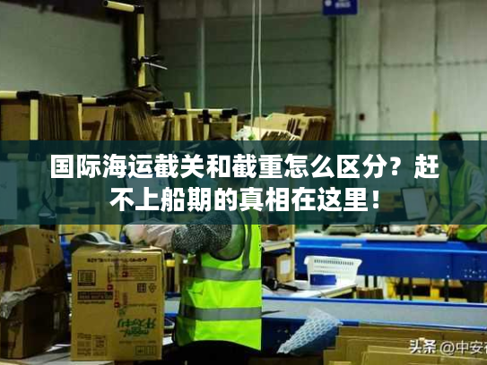 国际海运截关和截重怎么区分？赶不上船期的真相在这里！