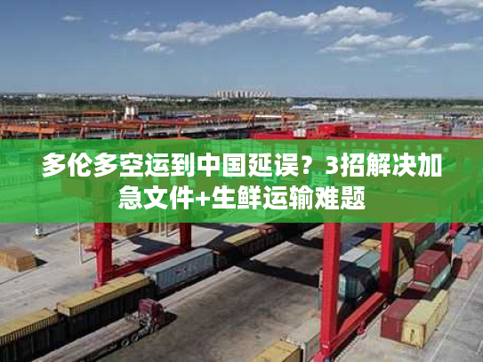 多伦多空运到中国延误？3招解决加急文件+生鲜运输难题