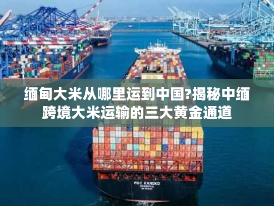 缅甸大米从哪里运到中国?揭秘中缅跨境大米运输的三大黄金通道