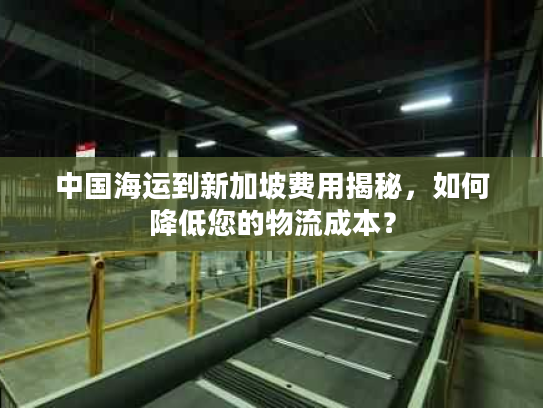 中国海运到新加坡费用揭秘，如何降低您的物流成本？