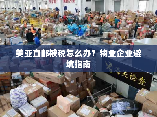 美亚直邮被税怎么办？物业企业避坑指南
