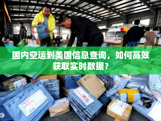 国内空运到美国信息查询，如何高效获取实时数据？