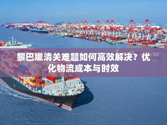 黎巴嫩清关难题如何高效解决？优化物流成本与时效