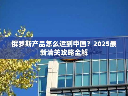 俄罗斯产品怎么运到中国？2025最新清关攻略全解