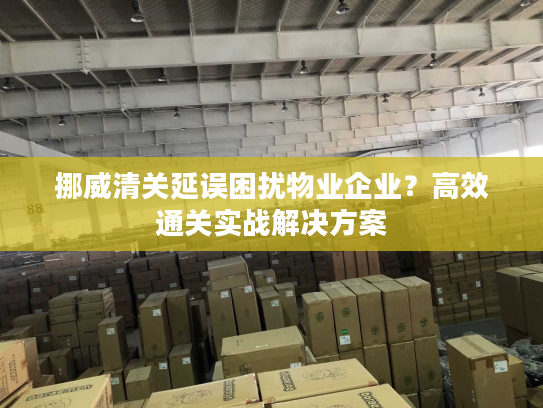 挪威清关延误困扰物业企业？高效通关实战解决方案