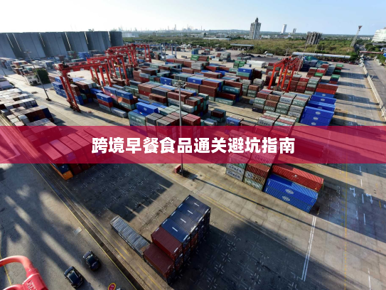 跨境早餐食品通关避坑指南