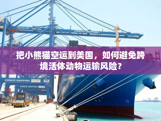 把小熊猫空运到美国，如何避免跨境活体动物运输风险？