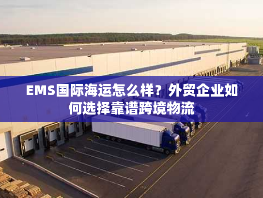 EMS国际海运怎么样？外贸企业如何选择靠谱跨境物流