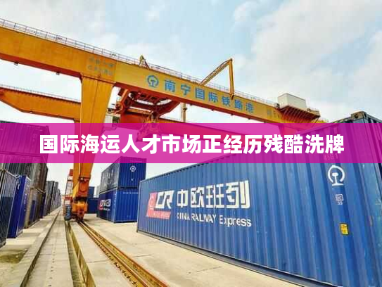国际海运人才市场正经历残酷洗牌