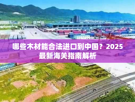 哪些木材能合法进口到中国？2025最新海关指南解析