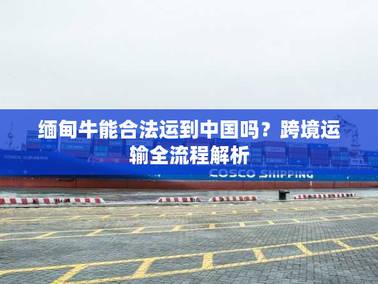 缅甸牛能合法运到中国吗？跨境运输全流程解析