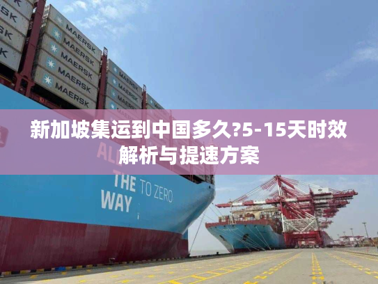 新加坡集运到中国多久?5-15天时效解析与提速方案