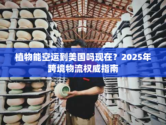 植物能空运到美国吗现在？2025年跨境物流权威指南