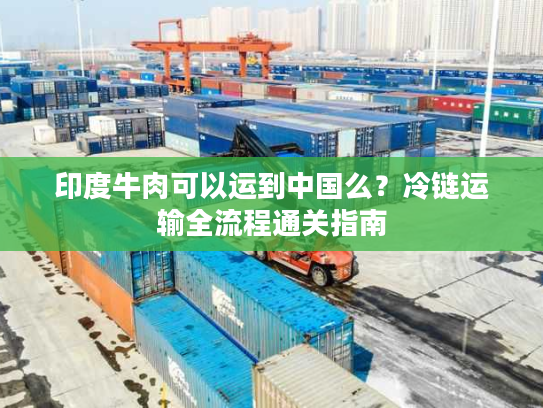 印度牛肉可以运到中国么？冷链运输全流程通关指南