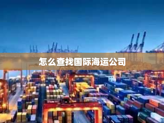 怎么查找国际海运公司