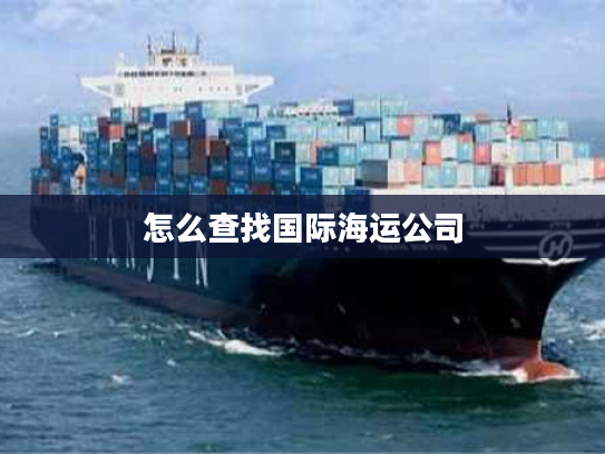 怎么查找国际海运公司