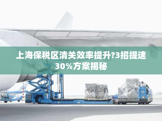 上海保税区清关效率提升?3招提速30%方案揭秘