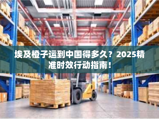 埃及橙子运到中国得多久？2025精准时效行动指南！