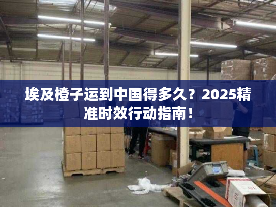 埃及橙子运到中国得多久？2025精准时效行动指南！