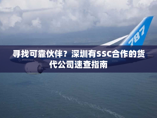 寻找可靠伙伴?深圳有SSC合作的货代公司速查指南 寻找可靠伙伴?深圳有SSC合作的货代公司速查指南