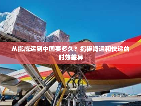 从挪威运到中国要多久？揭秘海运和快递的时效差异