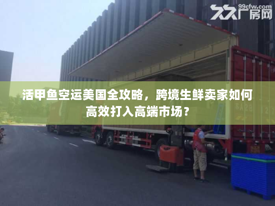 活甲鱼空运美国全攻略，跨境生鲜卖家如何高效打入高端市场？