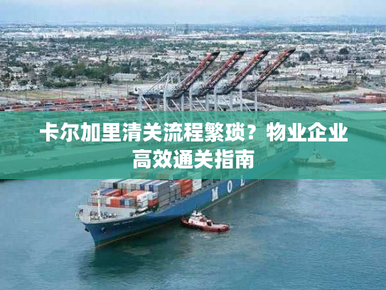 卡尔加里清关流程繁琐？物业企业高效通关指南