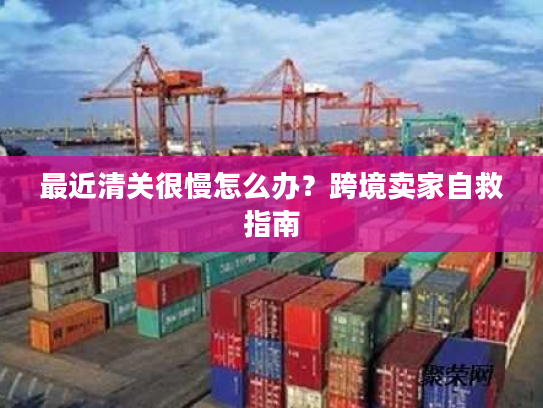 最近清关很慢怎么办？跨境卖家自救指南