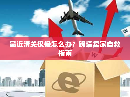 最近清关很慢怎么办？跨境卖家自救指南