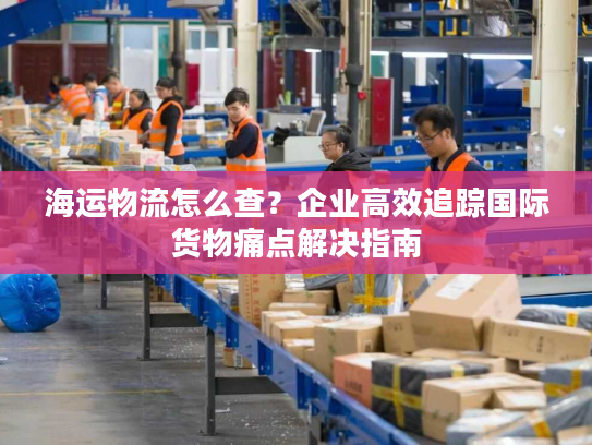 海运物流怎么查？企业高效追踪国际货物痛点解决指南