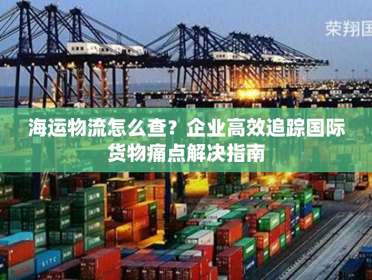 海运物流怎么查？企业高效追踪国际货物痛点解决指南