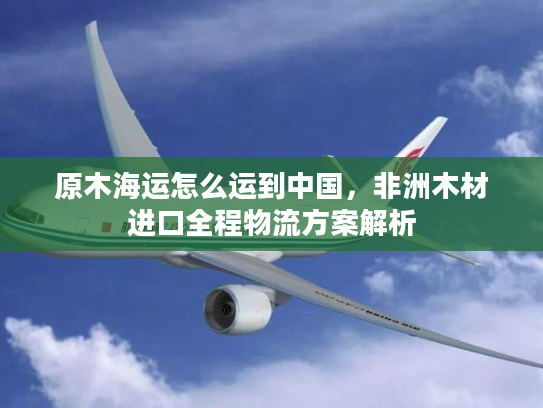 原木海运怎么运到中国，非洲木材进口全程物流方案解析