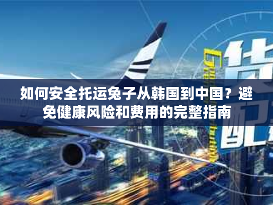 如何安全托运兔子从韩国到中国？避免健康风险和费用的完整指南