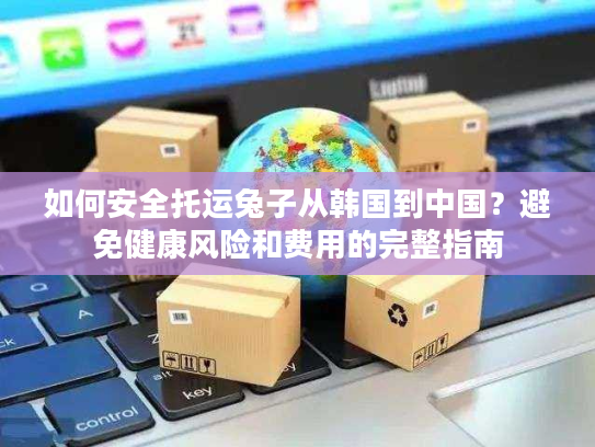 如何安全托运兔子从韩国到中国？避免健康风险和费用的完整指南