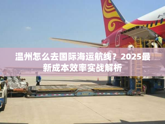 温州怎么去国际海运航线？2025最新成本效率实战解析